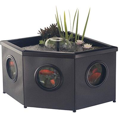 Aquagarden Raised Window Pond Corner Mocha Hoge vijver met kijkvenster, pomp en filter, plantenmand, waterspel, stijlvolle hoekvijver voor tuin, terras en binnenplaats Aquagarden Raised Window Pond Corner Mocha Hoge vijver met kijkvenster, pomp en filter, plantenmand, waterspel, stijlvolle hoekvijver voor tuin, terras en binnenplaats
