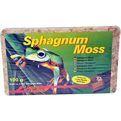 Lucky Reptile Sphagnum Moss 100 g veenmos blok voor reptielen Terrarium mos om luchtvochtigheid te verhogen Mos uit gecontroleerde teelt voor orchideeën en bromelia's Reptielen accessoires Lucky Reptile Sphagnum Moss 100 g veenmos blok voor reptielen Terrarium mos om luchtvochtigheid te verhogen Mos uit gecontroleerde teelt voor orchideeën en bromelia's Reptielen accessoires