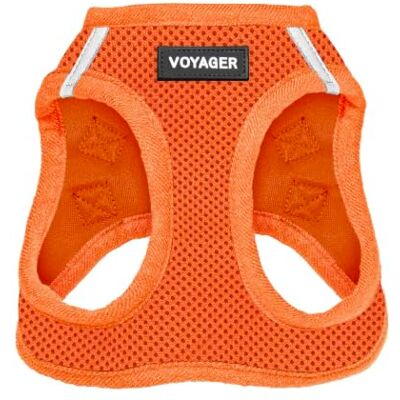 Best Pet Supplies Voyager Step-In Air Hondentuig All Weather Mesh, reflecterend, anti-trek harnas voor kleine, middelgrote honden en katten veilig met klittenband sluiting, gesp, dubbele D-ringen oranje, XXXS Best Pet Supplies Voyager Step-In Air Hondentuig All Weather Mesh, reflecterend, anti-trek harnas voor kleine, middelgrote honden en katten veilig met klittenband sluiting, gesp, dubbele D-ringen oranje, XXXS