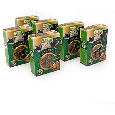 NESTOR Snacks voor honden Lara Mącznik NESTOR Snacks voor honden Lara Mącznik