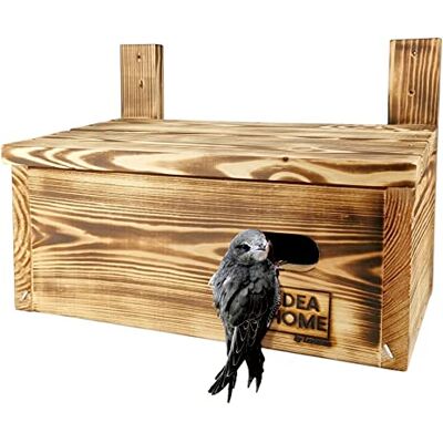 IDEA HOME LEVIATAN APUS nestkastje voor muurzegelaars, vogels, van massief hout geschroefd IDEA HOME LEVIATAN APUS nestkastje voor muurzegelaars, vogels, van massief hout geschroefd