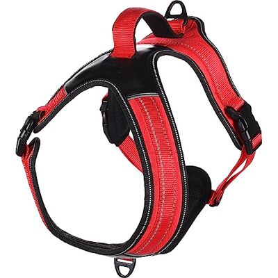 Flamingo tuigje Toga, rood, M 63-80 cm Flamingo tuigje Toga, rood, M 63-80 cm