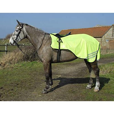 Rhinegold 3/4 lengte Cutaway Ride-On tapijt Rhinegold 3/4 lengte Cutaway Ride-On tapijt