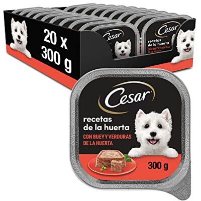 Cesar Natvoer in gelei voor honden, ossmaak en groenten, verpakking met 20 containers x 300 g Cesar Natvoer in gelei voor honden, ossmaak en groenten, verpakking met 20 containers x 300 g