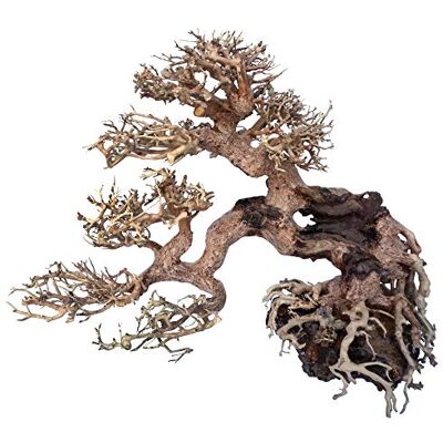 Amtra Croci Wood Oriental Wind 7 Small 1 Count 21 g, 25 X 10 X 20 cm Amtra Croci Wood Oriental Wind 7 Small 1 Count 21 g, 25 X 10 X 20 cm