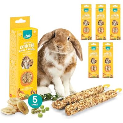 Best Friend Gebakken natuurlijke snacks voor konijnen, cavia's en chinchilla's. Heerlijke en vitaminerijke sticks met berkenhout voor gezonde tanden banaan en medisch gras, 5 stuks x 115 g Best Friend Gebakken natuurlijke snacks voor konijnen, cavia's en chinchilla's. Heerlijke en vitaminerijke sticks met berkenhout voor gezonde tanden banaan en medisch gras, 5 stuks x 115 g