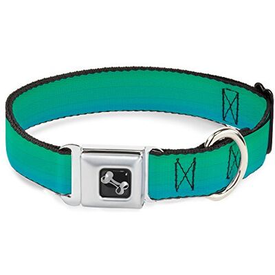 Buckle-Down Seatbelt Gesp Hond Kraag Blauwgroen Ombre, 1" Wide Fits 9-15" Neck Small, Teal Ombre Buckle-Down Seatbelt Gesp Hond Kraag Blauwgroen Ombre, 1" Wide Fits 9-15" Neck Small, Teal Ombre