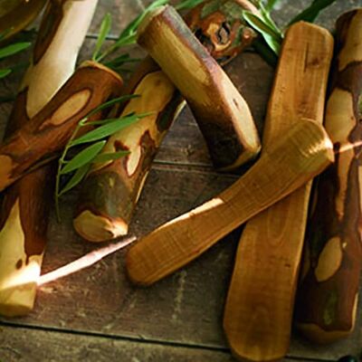 Wolfsblut Olive-Chewing Stick-L1 stuk Wolfsblut Olive-Chewing Stick-L1 stuk