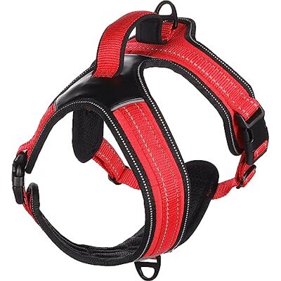 Flamingo Toga, tuigje, rood, XS, 47-57 cm Flamingo Toga, tuigje, rood, XS, 47-57 cm