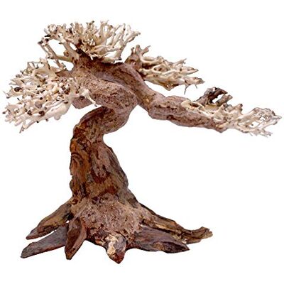 Amtra Oriental Wind 5 hout, handgemaakt, voor aquarium, 25x10x18 CM Amtra Oriental Wind 5 hout, handgemaakt, voor aquarium, 25x10x18 CM