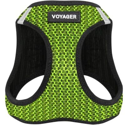 Best Pet Supplies Voyager Step-in Air Hondentuig, mesh voor alle weersomstandigheden, reflecterend, tegen trekken, kleine, middelgrote honden, katten, met klittenband, gesp, dubbele D-ringen, limoengroen, 2-kleurig, XS Best Pet Supplies Voyager Step-in Air Hondentuig, mesh voor alle weersomstandigheden, reflecterend, tegen trekken, kleine, middelgrote honden, katten, met klittenband, gesp, dubbele D-ringen, limoengroen, 2-kleurig, XS
