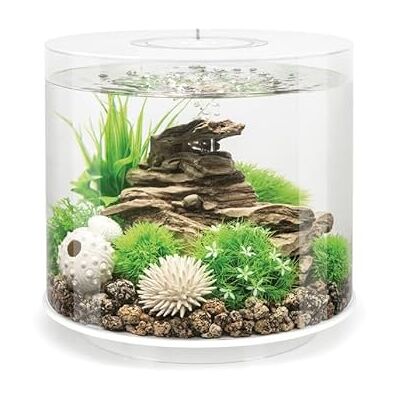 biOrb 92393 Tube 15 LED wit Aquarium, LED-verlichting, met 360 graden zicht op de onderwaterwereld biOrb 92393 Tube 15 LED wit Aquarium, LED-verlichting, met 360 graden zicht op de onderwaterwereld