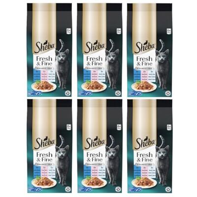Sheba Portiezakjes natvoer voor katten, multipack Fresh & Fine in gelei met tonijn en zalm MSC, 6 x 6 x 50 g, gezonde maaltijden voor katten met gelei Sheba Portiezakjes natvoer voor katten, multipack Fresh & Fine in gelei met tonijn en zalm MSC, 6 x 6 x 50 g, gezonde maaltijden voor katten met gelei