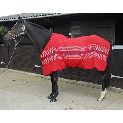 Rhinegold Rijngold Supercooler Multi Purpose Rug Rhinegold Rijngold Supercooler Multi Purpose Rug