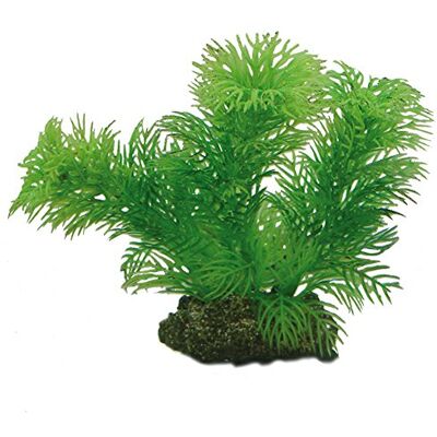 Hobby Egeria, 13 cm Hobby Egeria, 13 cm