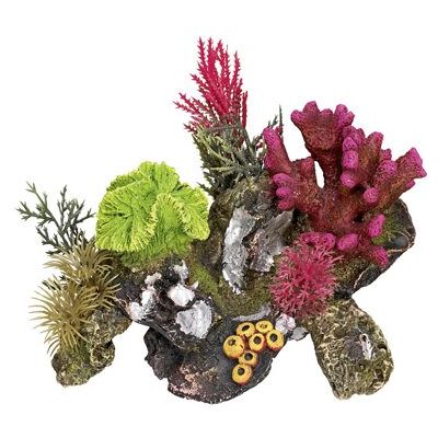 Nobby Koraalsteen met planten, aquariumornamenten, 17 x 12,5 x 12 cm Nobby Koraalsteen met planten, aquariumornamenten, 17 x 12,5 x 12 cm