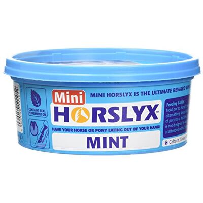 PFIFF Lekmassa 'Horslyx', mint 650 g PFIFF Lekmassa 'Horslyx', mint 650 g