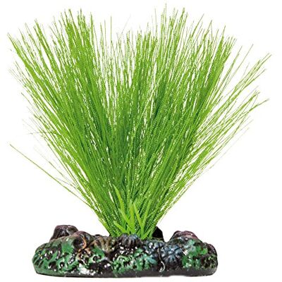 ICA AP1114 Aquatic Planten Miriofhyllium ICA AP1114 Aquatic Planten Miriofhyllium