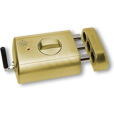 Lince SUPRATRONIK 4940TK-HL Onzichtbaar elektronisch veiligheidsslot met alarm goud Lince SUPRATRONIK 4940TK-HL Onzichtbaar elektronisch veiligheidsslot met alarm goud