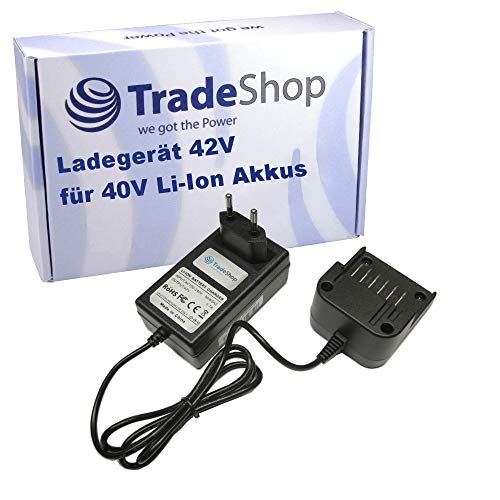 Trade-Shop Acculader voor verschillende Worx 40V Li-Ion accu's zoals WA3536 WA3734 / voeding, laadstation