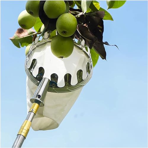 GHLNBFCBBSH Fruitplukker, fruitplukker gereedschap, fruitplukker fruitplukker gereedschap fruitplukkerpaal met mand telescopische fruitplukken voor peren citroenoranje oogsten (maat: 4 m (13 ft))