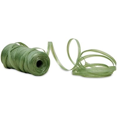 Windhager Kunstbast, knutselband voor de tuin, kunstbast koord voor binnen en buiten, 400 m, groen Windhager Kunstbast, knutselband voor de tuin, kunstbast koord voor binnen en buiten, 400 m, groen