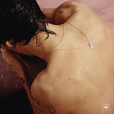 Columbia Harry Styles, 2 vinyles Columbia Harry Styles, 2 vinyles