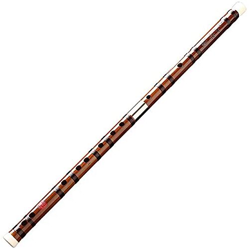 FURLOU Dizi, Bittere bamboefluit, professioneel spelend muziekinstrument, beginner volwassen nul-gebaseerde fluit(Color:C)