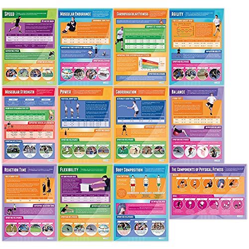 Daydream Education Componenten van Physical Fitness Posters Set van 12   PE Posters   Glans Papier van 850 mm x 594 mm (A1)   Lichamelijke opvoeding Grafieken voor de klas   Onderwijs Grafieken door