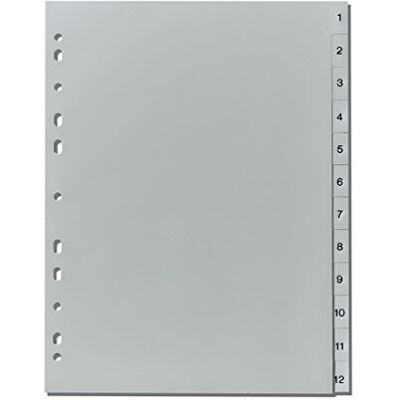 Herlitz 10843407 register 1-12, 21 x 29,7 cm, PP, Europerforatie Herlitz 10843407 register 1-12, 21 x 29,7 cm, PP, Europerforatie