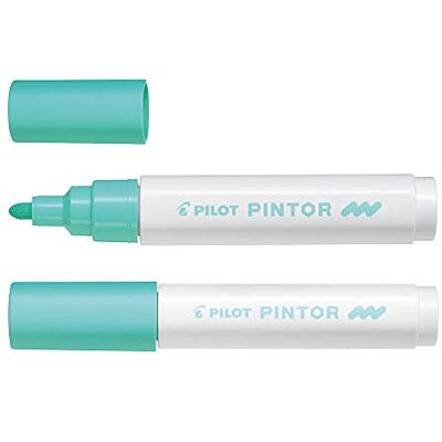 Pilot MK Pintor marker met gemiddelde lijndikte 1,4 mm, kleur aquamarijn, meerkleurig, 4902505542046 Pilot MK Pintor marker met gemiddelde lijndikte 1,4 mm, kleur aquamarijn, meerkleurig, 4902505542046