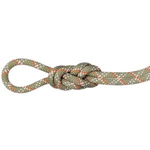 Mammut 9,5 Gym Classic Touw 40 m Mammut 9,5 Gym Classic Touw 40 m