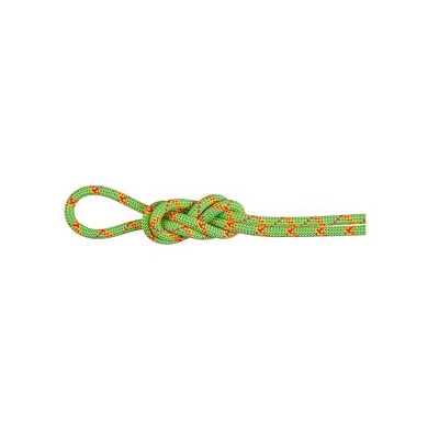 Mammut 8.0 Alpine Core Protect Dry Rope 70m 70 m Mammut 8.0 Alpine Core Protect Dry Rope 70m 70 m