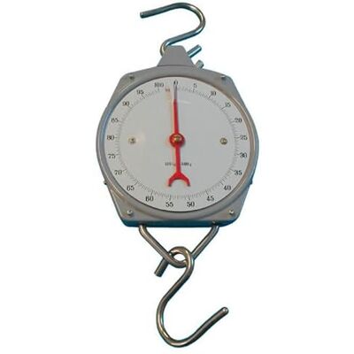 Weegschaal Berger + Schröter 50063 - Grijs Weegschaal Berger + Schröter 50063 - Grijs