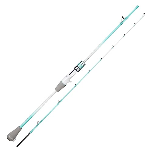 EboLD Draagbare hengel, hengelstok, comfortabele grip, hengel, solide stang, haspel en hengel, combinatie, draagbare baitcasting, gietstang, visgerei, antislip handvat (155 cm)