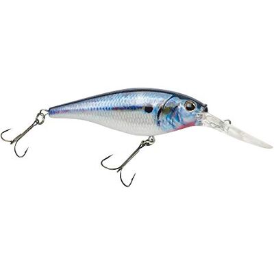Berkley Flicker Shad Fishing Lure, HD Threadfin Shad, 5/16 oz, 2 3/4 inch 7cm Crankbaits, grootte, profiel en duikdiepte imiteert echte schaduw, uitgerust met Fusion19 haak Berkley Flicker Shad Fishing Lure, HD Threadfin Shad, 5/16 oz, 2 3/4 inch 7cm Crankbaits, grootte, profiel en duikdiepte imiteert echte schaduw, uitgerust met Fusion19 haak