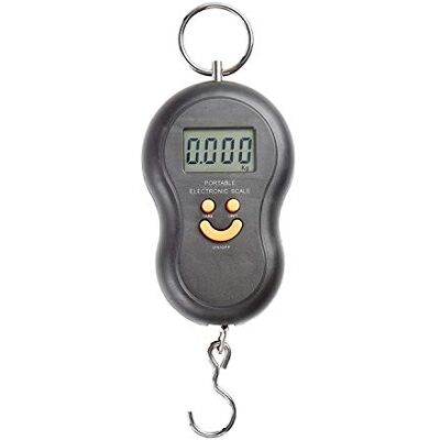 tempo di saldi Weegschaal 40 kg digitale haak vissen jacht gewicht surf LCD-display wegen batterijen tempo di saldi Weegschaal 40 kg digitale haak vissen jacht gewicht surf LCD-display wegen batterijen