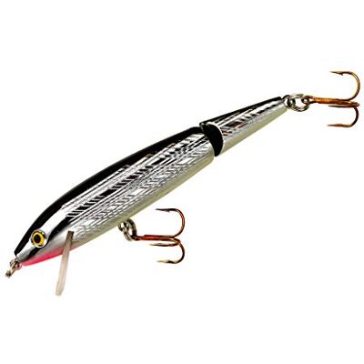 Rebel Visaas met Minnow Rebel Visaas met Minnow