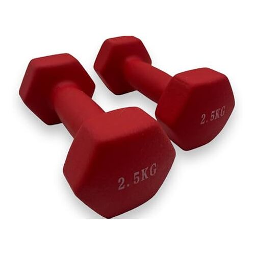 Padisport Dumbells 2.5 Kg Halter Gewichten Set Halters Gewichten 2.5 Kg Rood Gewichten Dumbells Halters Gewichtjes 2.5 Kg