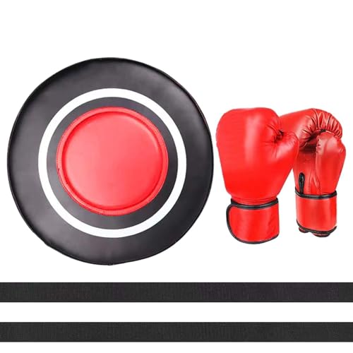 Qianly Wandgemonteerd bokskussen, bokskussen vechtkussen trainingskussen, muurfocus doelbokszak voor oefening Taekwondo, handschoenen voor