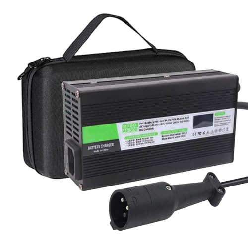 HYDTGZ 48 Volt 10 Amp golfkar acculader voor clubauto, EZGO RXV/TXT golfkarretjes, G19-G22 golfkarretjes druppelladers met LED-display,A