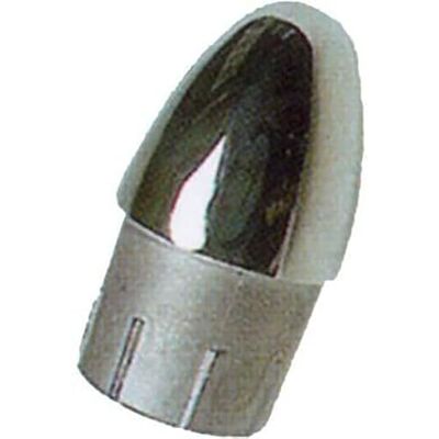 GoldenShip 7/8 inch Zilveren Bootstekker - Vervanging bootaccessoires GoldenShip 7/8 inch Zilveren Bootstekker - Vervanging bootaccessoires