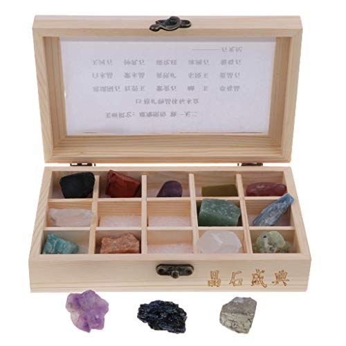 Adoorniequea Rock & Mineral Collectie Geologie Wetenschap Kit Aarde Wetenschap Speelgoed Set van 15