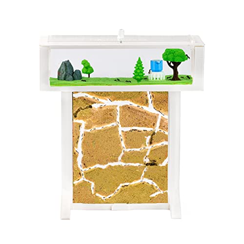 AntHouse Mierenhuisje Mierenboerderij van natuurlijk zand   3D T-kit 15x15x1,5cm Wit   Inclusief mieren