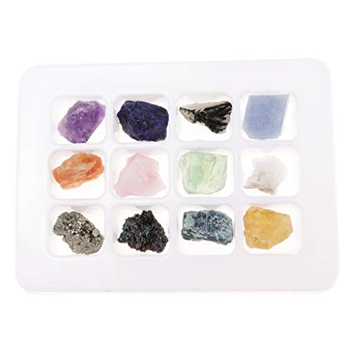 Adoorniequea Educatieve Geologie Wetenschap Kit Rock & Mineral Collection PK546-5 Pack van 12