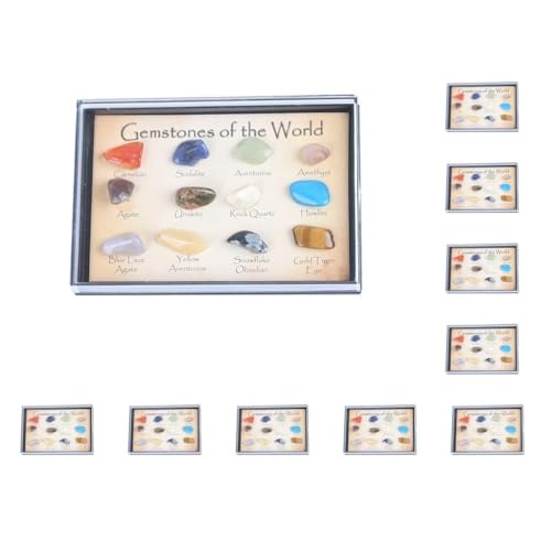 Adoorniequea 10 set Rock & Mineral Collection Geologie Wetenschap Kit Aarde Wetenschap Speelgoed Pack van 15