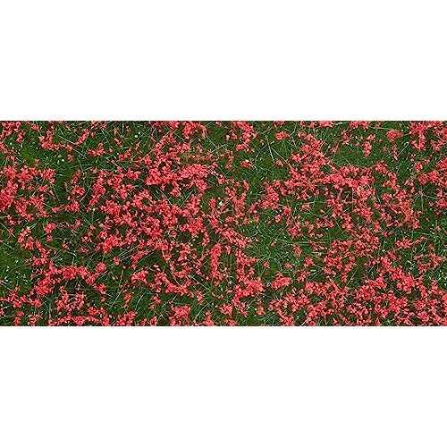 Noch 07257 bodembedekker-foliage weide rood, kleurrijk