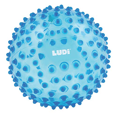 LUDI motoriekbal, blauw