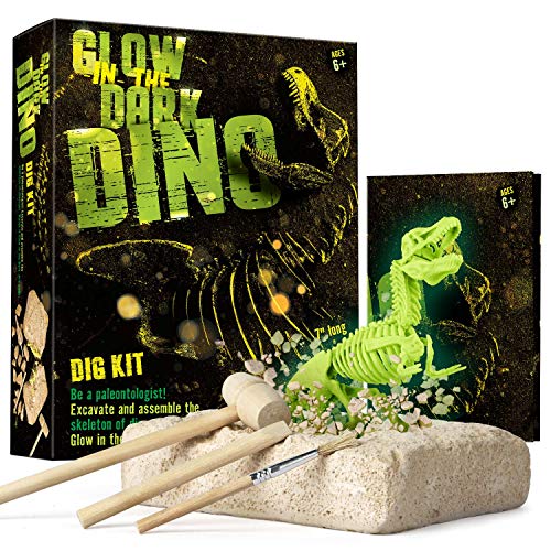 Dr. Daz Nachtlichtende dinosaurus skelet opgravingsset voor kinderen dino botten opgraven speelgoed archeologie paleontologie cadeau