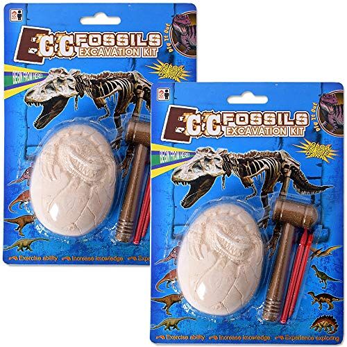 TE-Trend 2 Stuk Fossilian Archeologie Opgraving Kit Dinosaurus Opgraven Hammer Beitel Steen 9cm Kinderen Speelgoed